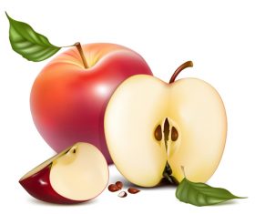 Fresh apples design vectors set 07