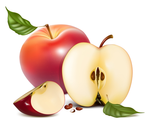 Fresh apples design vectors set 07