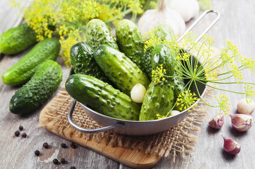 Fresh cucumbers on the desktop Stock Photo