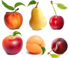 Fresh fruits design set vector 01