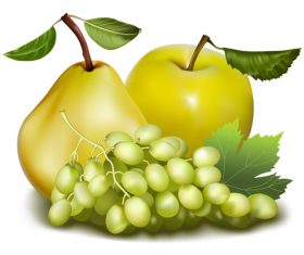 Fresh fruits design set vector 06