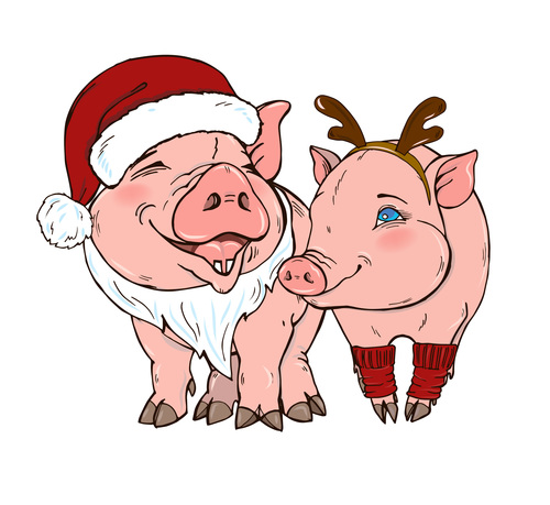Funny pig illustration design cartoon vector 09
