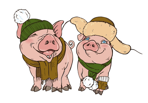 Funny pig illustration design cartoon vector 10