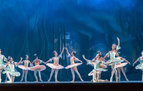Graceful ballet performance Stock Photo 01