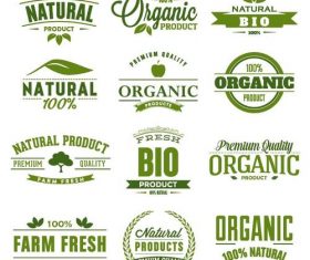 Green eco labels design vectors set