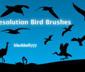 HD Birds Photoshop Brushes