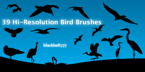 HD Birds Photoshop Brushes