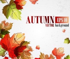 Hand drawn leaves with autumn background vector 01