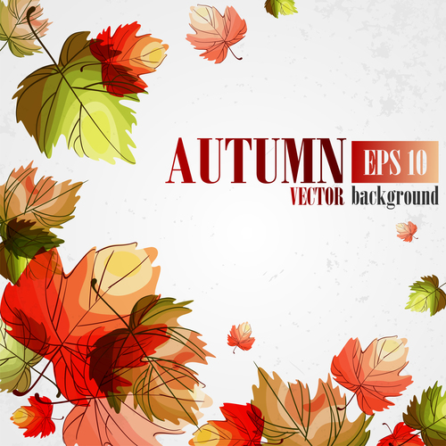 Hand drawn leaves with autumn background vector 01