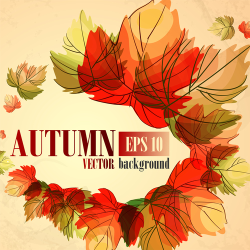 Hand drawn leaves with autumn background vector 02