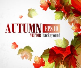 Hand drawn leaves with autumn background vector 03