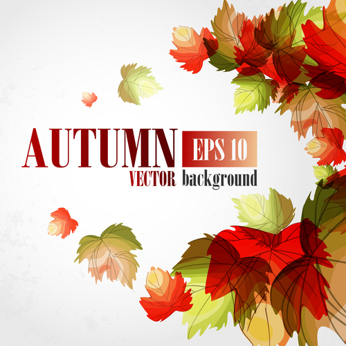 Hand drawn leaves with autumn background vector 03