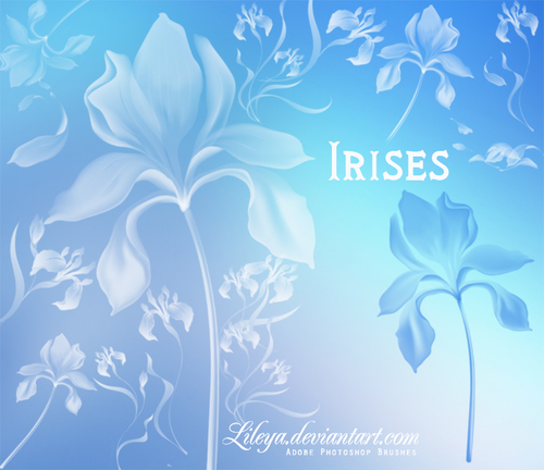 Irises Photoshop Brushes