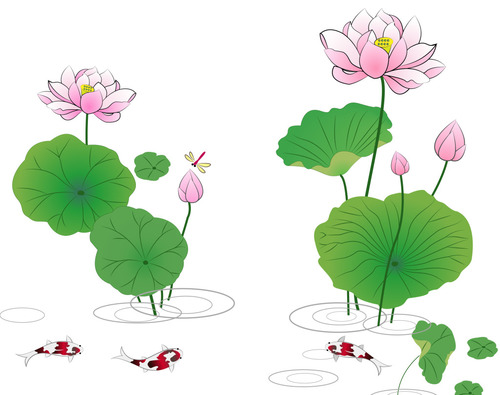 Lotus pond moonlight lotus vector