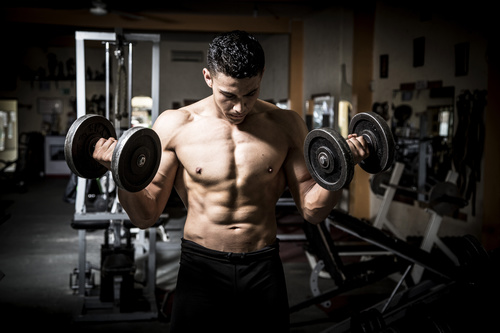 Man doing body building in the gym Stock Photo 03
