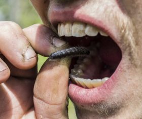 Man who survives in the wild Stock Photo 06