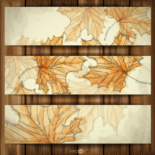 Maple leaf autumn banners hand drawn vector