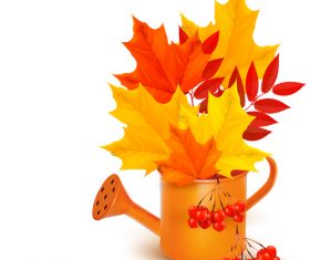 Maple leaves and watering can vector