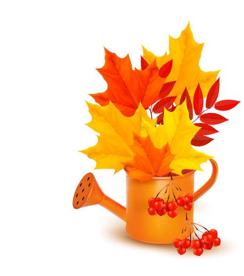 Maple leaves and watering can vector