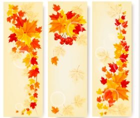 Maple leaves with autumn banners vector 01