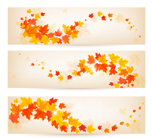 Maple leaves with autumn banners vector 03