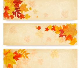 Maple leaves with autumn banners vector 04