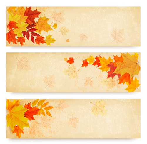 Maple leaves with autumn banners vector 04