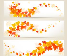 Maple leaves with autumn banners vector 05