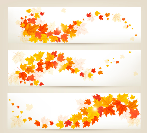 Maple leaves with autumn banners vector 05