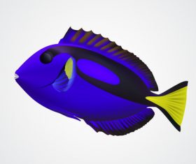Multicolored skin fish sea animal vector 01