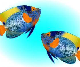 Multicolored skin fish sea animal vector 02
