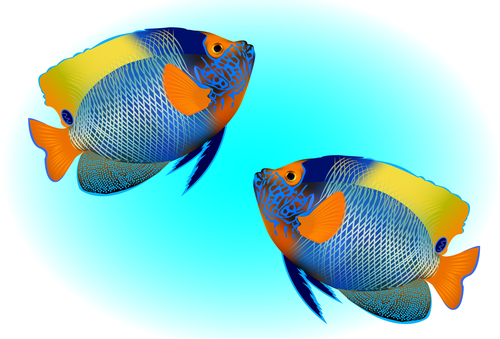 Multicolored skin fish sea animal vector 02