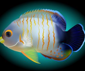Multicolored skin fish sea animal vector 03