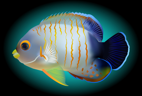 Multicolored skin fish sea animal vector 03