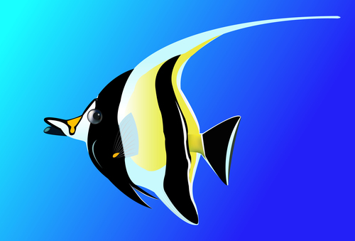 Multicolored skin fish sea animal vector 05