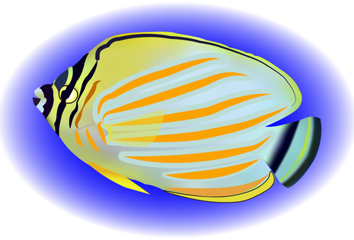 Multicolored skin fish sea animal vector 06