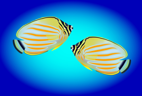 Multicolored skin fish sea animal vector 07
