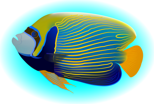 Multicolored skin fish sea animal vector 08