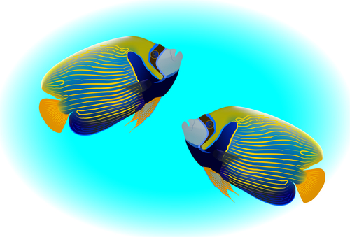 Multicolored skin fish sea animal vector 09