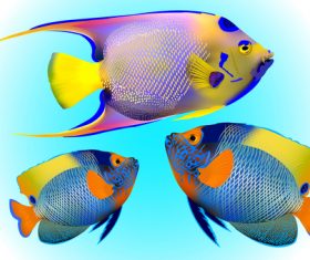 Multicolored skin fish sea animal vector 10