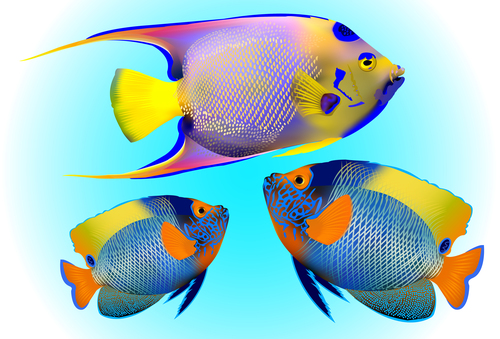 Multicolored skin fish sea animal vector 10