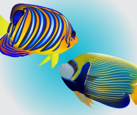 Multicolored skin fish sea animal vector 11