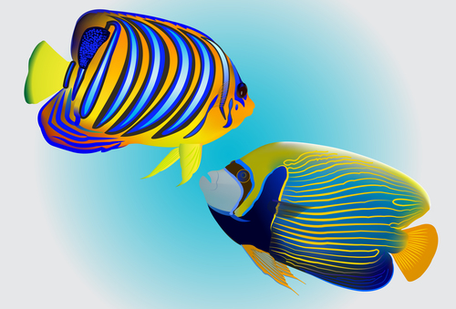 Multicolored skin fish sea animal vector 11