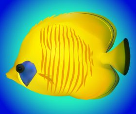 Multicolored skin fish sea animal vector 12