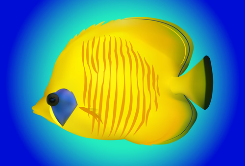 Multicolored skin fish sea animal vector 12