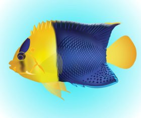 Multicolored skin fish sea animal vector 14