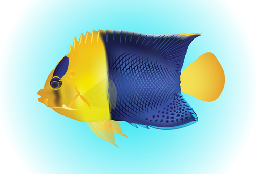 Multicolored skin fish sea animal vector 14