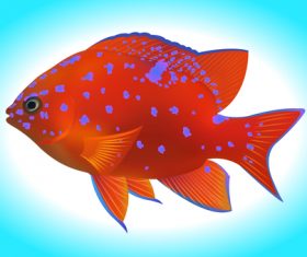 Multicolored skin fish sea animal vector 15
