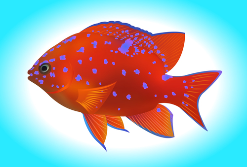 Multicolored skin fish sea animal vector 15