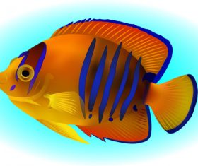 Multicolored skin fish sea animal vector 16